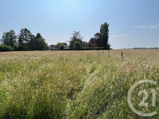 Terrain à vendre ST REMY L HONORE